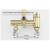 Душевая стойка Frap F2410, бронза