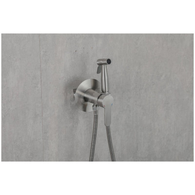 Смеситель Frap F72801 с гигиеническим душем скрытого монтажа, сатин Смеситель Frap F72801 с гигиеническим душем скрытого монтажа, сатин