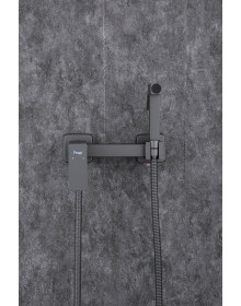 Смеситель с гигиеническим душем F7504-9, оружейная сталь Смеситель с гигиеническим душем F7504-9, оружейная сталь